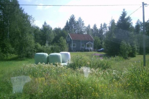 Holiday house in the near from the sea.